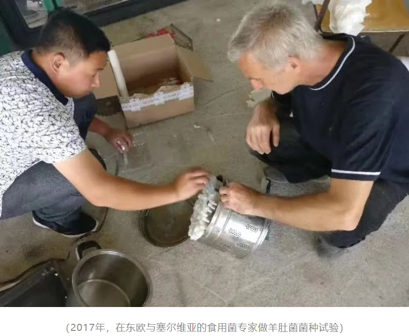 &#20048;&#40060;&#22312;&#32447;&#45;&#20048;&#40060;&#22312;&#32447;&#40;&#20013;&#22269;&#41;