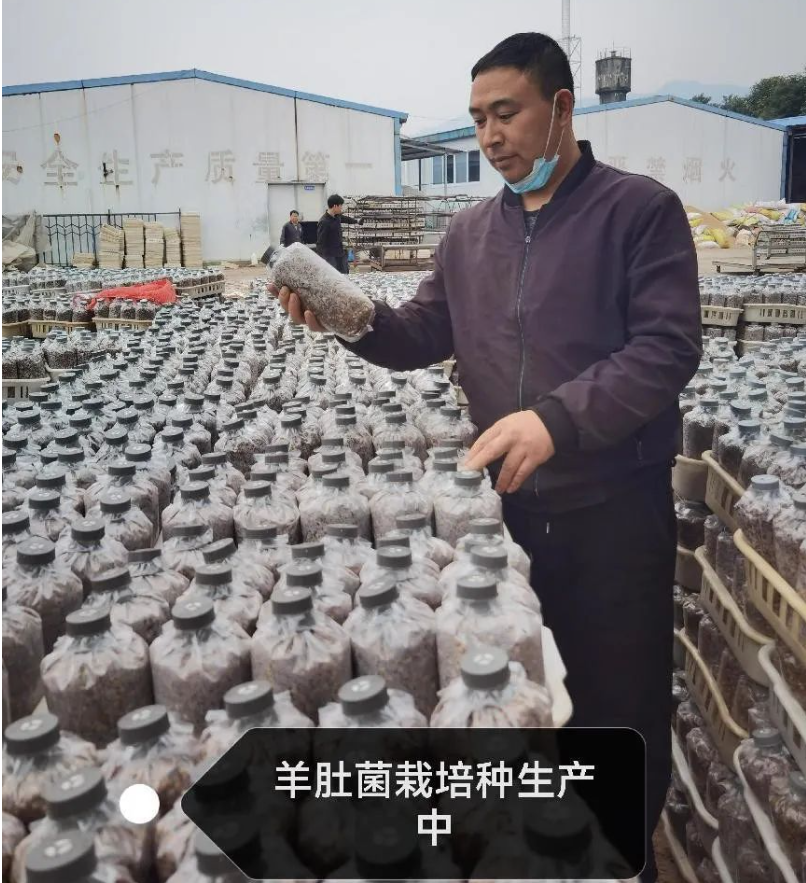 &#20048;&#40060;&#22312;&#32447;&#45;&#20048;&#40060;&#22312;&#32447;&#40;&#20013;&#22269;&#41;