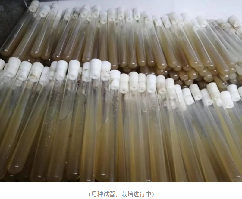 &#20048;&#40060;&#22312;&#32447;&#45;&#20048;&#40060;&#22312;&#32447;&#40;&#20013;&#22269;&#41;