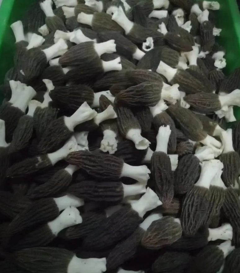 &#20048;&#40060;&#22312;&#32447;&#45;&#20048;&#40060;&#22312;&#32447;&#40;&#20013;&#22269;&#41;